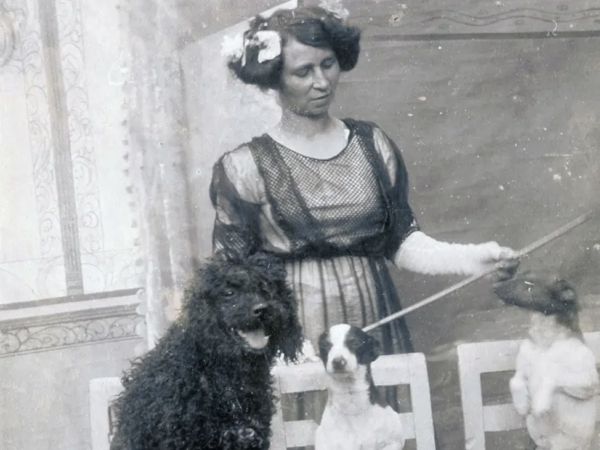 Svartvitt fotografi på en kvinna som står bakom stolar som det sitter tre hundar på.