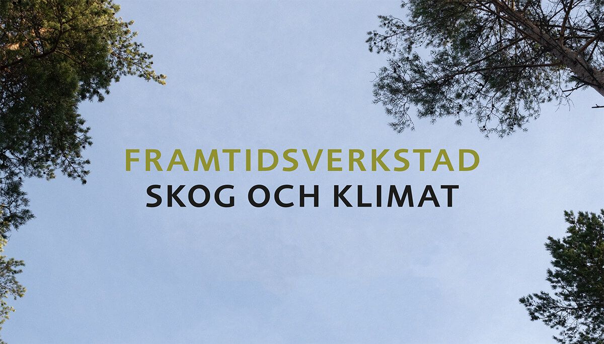 Framtidsverkstad: Skog och klimat