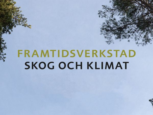 Framtidsverkstad: Skog och klimat