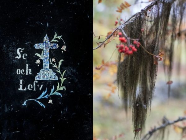 Utställningen Se och lefv
