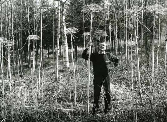 Fotografen Hilding Mickelsson vid Lövtjärns strättor i rekordformat.