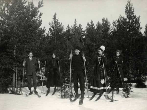 En skidgrupp står vid ett skogsbryn.