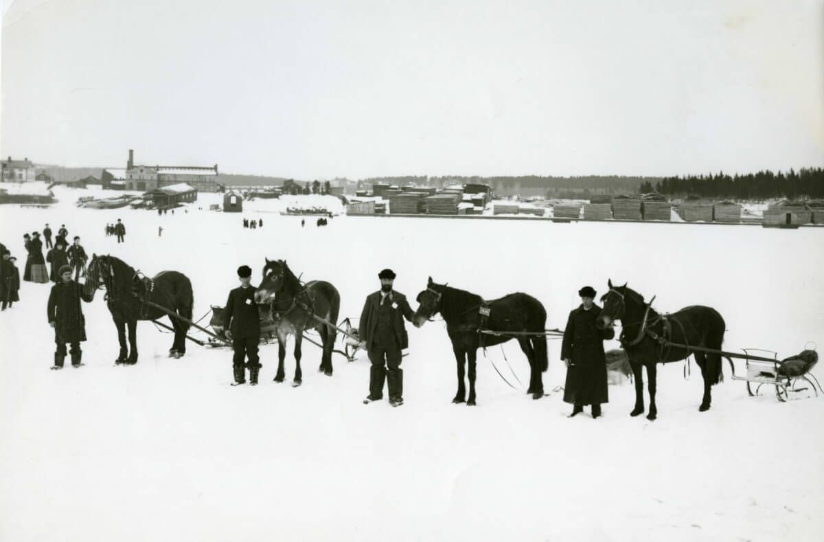Fyra förspända hästar står på rad på ett snöigt underlag.