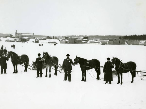Fyra förspända hästar står på rad på ett snöigt underlag.